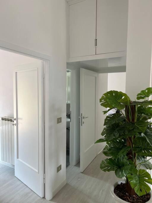 Terrace View Florence Attic المظهر الخارجي الصورة